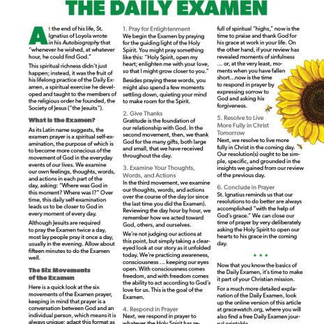 The Daily Examen Cover The Daily Examen Cover
